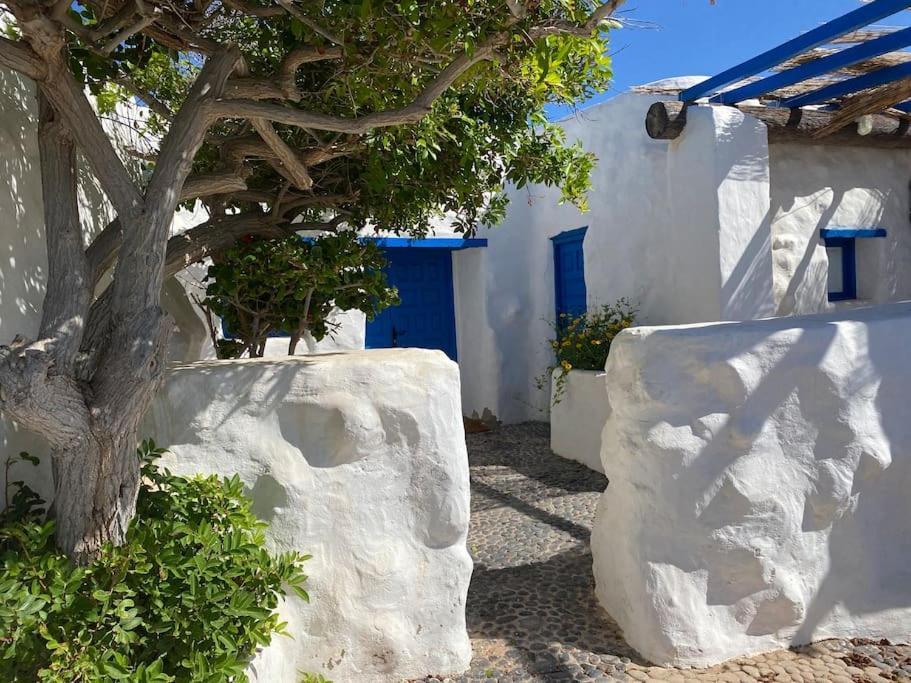 Villa Ocean View Pedro Barba Eksteriør billede