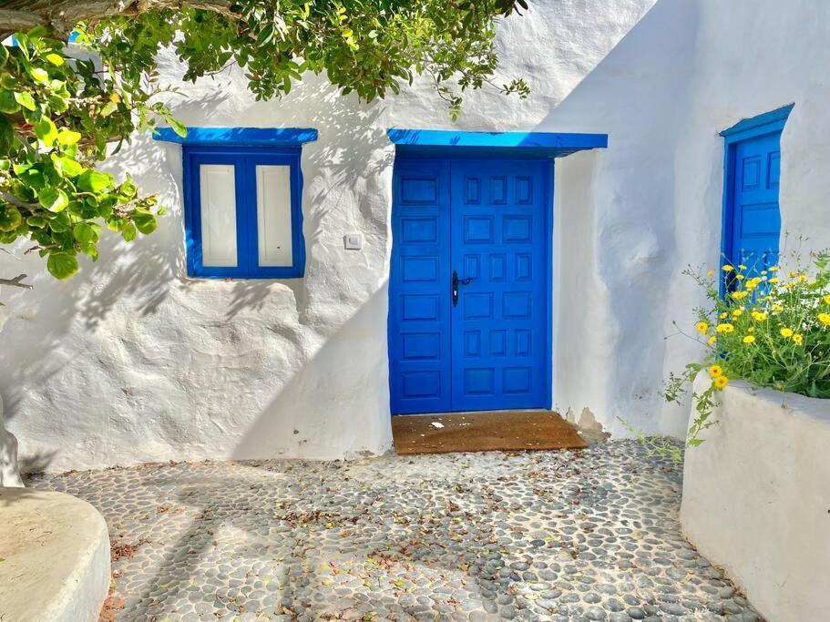 Villa Ocean View Pedro Barba Eksteriør billede